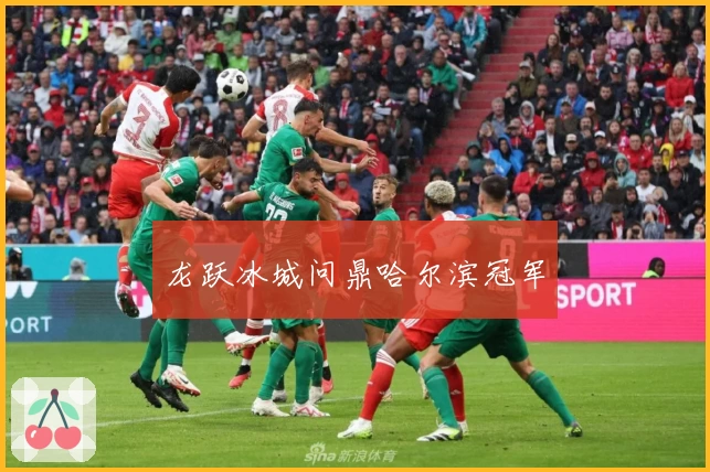 龙跃冰城问鼎哈尔滨冠军